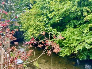 Photo 17- click for photo gallery